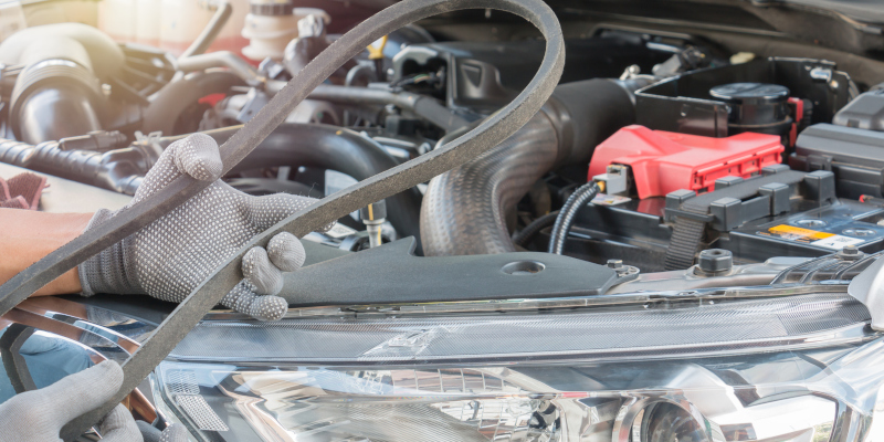Timing Belt Replacement in Tampa, Florida